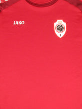 Load image into Gallery viewer, Royal Antwerp FC 2017-18 Sweatshirt L