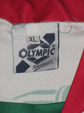 Load image into Gallery viewer, SV Zulte Waregem 2006-07 Home shirt MATCH ISSUE/WORN #11 Cédric Roussel