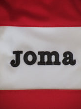 Load image into Gallery viewer, Royal Antwerp FC 2014-15 Home shirt L