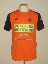 Load image into Gallery viewer, Eendracht Aalst 2022-23 Away shirt MATCH ISSUE/WORN #11 Tommy Collard