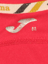 Load image into Gallery viewer, Royal Antwerp FC 2013-14 Home shirt M