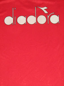 Rode Duivels 1994-95 Training shirt XL