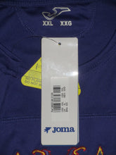 Load image into Gallery viewer, Germinal Beerschot 2009-10 Home shirt XXL *new with tags*