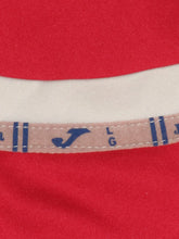 Load image into Gallery viewer, Hoogstraten VV 2013-14 Home shirt MATCH ISSUE/WORN #9 Tom Boere