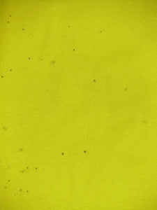 KVC Westerlo 1995-96 Home shirt PLAYER ISSUE #2