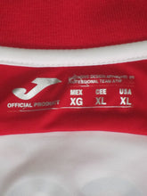Load image into Gallery viewer, Royal Antwerp FC 2014-15 Home shirt XL *mint*