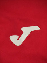 Load image into Gallery viewer, Royal Antwerp FC 2013-14 Home shirt M