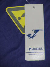 Load image into Gallery viewer, Germinal Beerschot 2010-11 Home shirt L *new with tags*