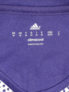 RSC Anderlecht 2015-16 Home shirt MATCH ISSUE/WORN #37 Ivan Obradovic